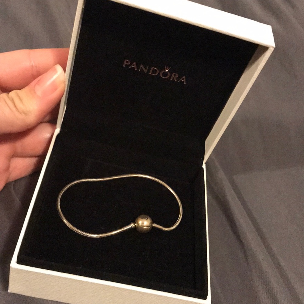 Pandora charm bracelet